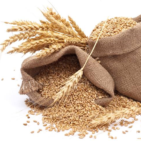 Punjab kothumai/ பஞ்சாப் கோதுமை 1kg